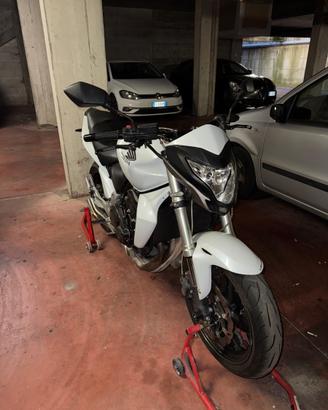 Honda Hornet
