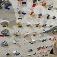 Prese arrampicata