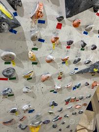 Prese arrampicata