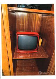 TELEVISIONE  BIANCO NERO PORATILE ANNI 70