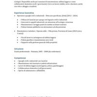 Custode/tutto fare /operaio