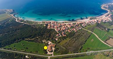 Capo mannu s'arena scoada sinis