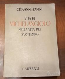 vita di Michelangelo 