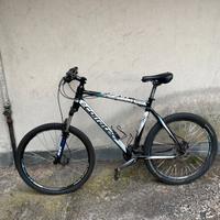 mtb corratec