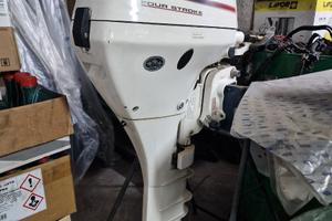 Motore marino johnson