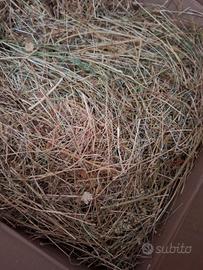 Fieno Naturale 5kg