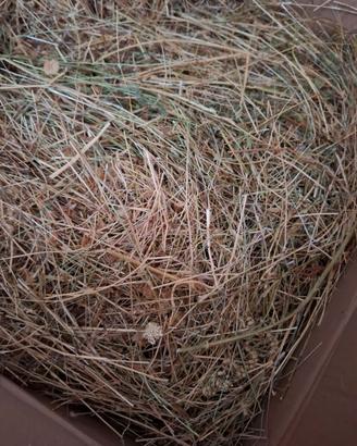 Fieno Naturale 5kg