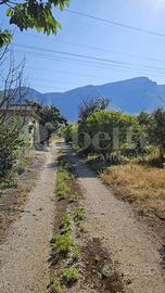 Terreno Agricolo Altavilla Milicia