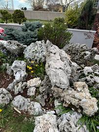 Sassi per giardino roccioso
