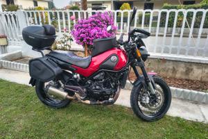 Benelli Leoncino 500 - 2021