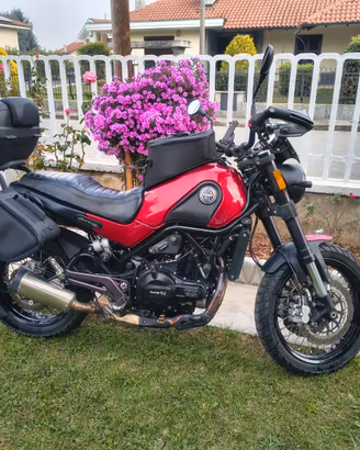 Benelli Leoncino 500 - 2021