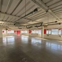 SCANDICCI ZONA INDUSTRIALE Capannone D7