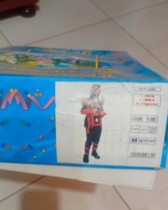 vestito di carnevale 