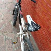 Bici bambino 20 pollici