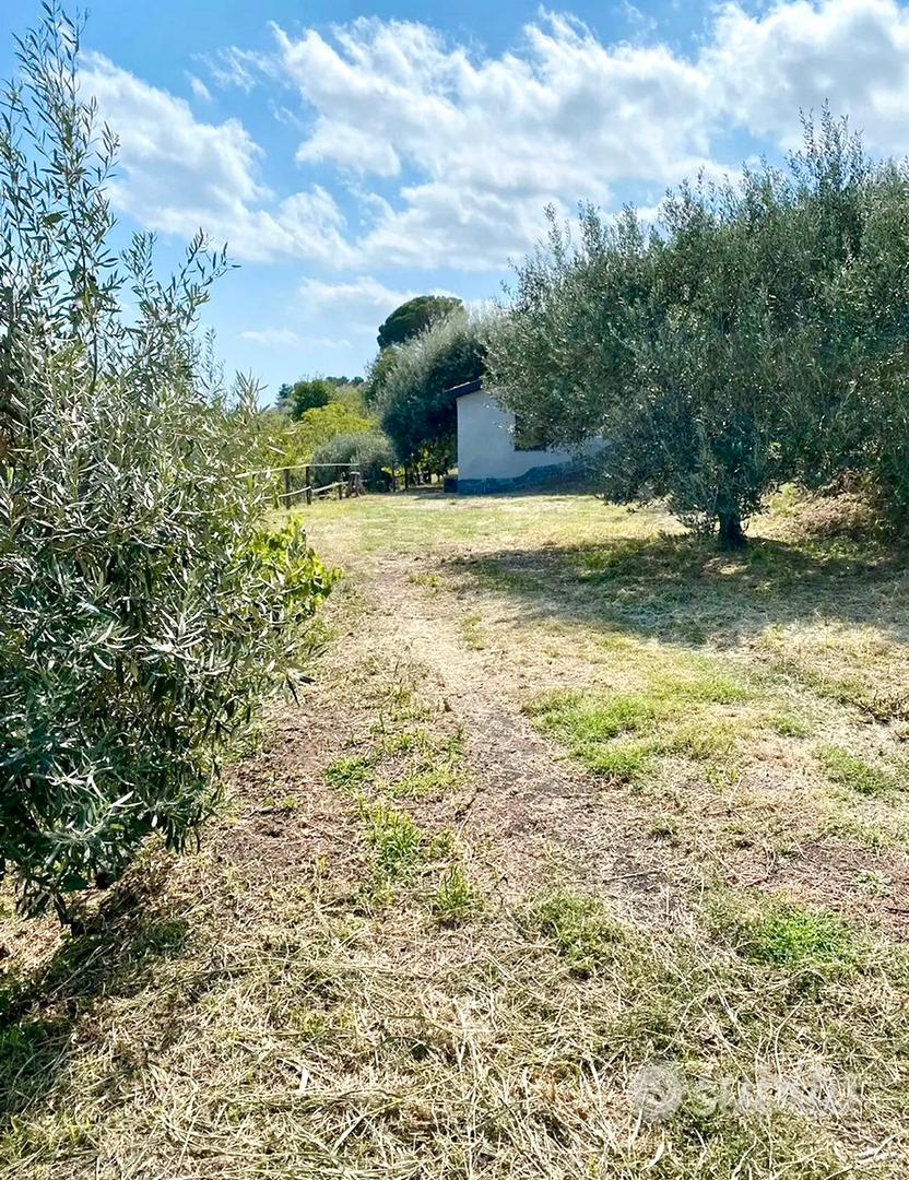 Casetta di campagna Panoramica - Vista 3