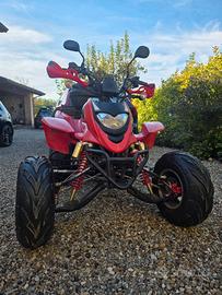 Quad 300cc