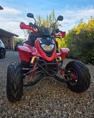 Quad 300cc