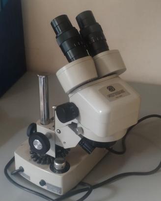 Stereomicroscopio binoculare Euromex “Holland”