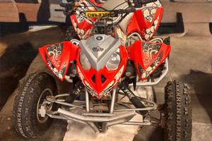 Quad polaris 500