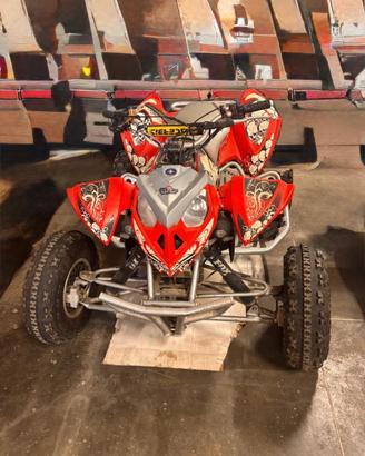 Quad polaris 500