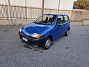 fiat-seicento-900i-cat-young