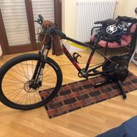 Mountain Bike Olympia