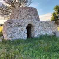 Trullo con uliveto