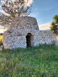 Trullo con uliveto