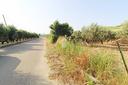 ter-agricolo-a-simeri-crichi