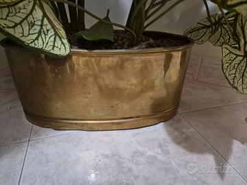Vaso e/o pianta finta