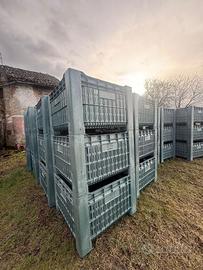 Cassette per frutta in PLASTICA 110×110×70h