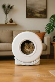 Lettiera Automatica gatto