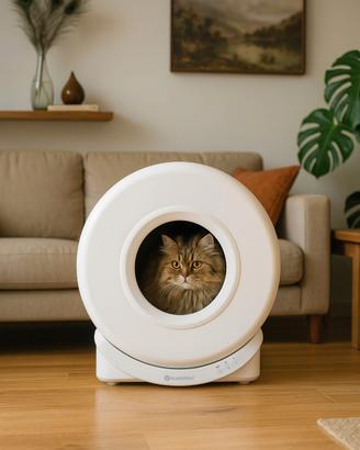 Lettiera Automatica gatto