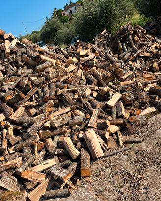 legna secca Faggio e quercia 