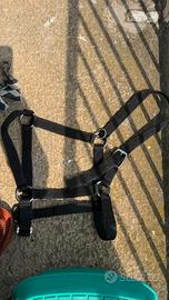 Capezza cavallo