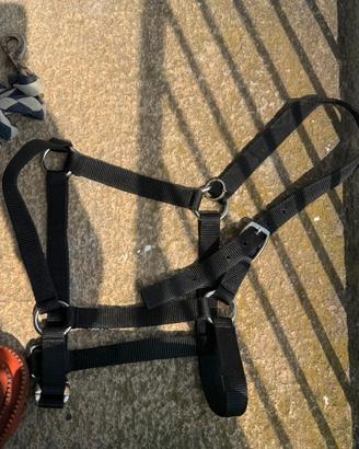 Capezza cavallo
