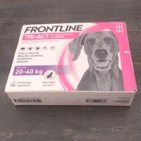 Fialette per cani
