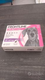 Fialette per cani