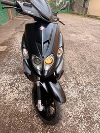 F12 R liqudo dual disk