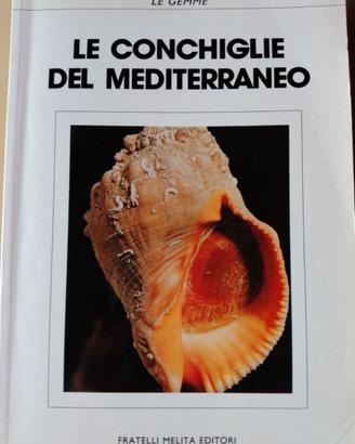 LE CONCHIGLIE DEL MEDITERRANEO