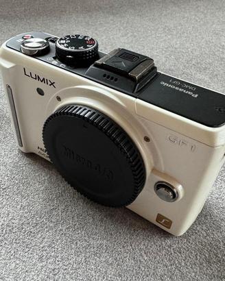 PANASONIC LUMIX DMC - GF1
