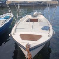 Barca a motore