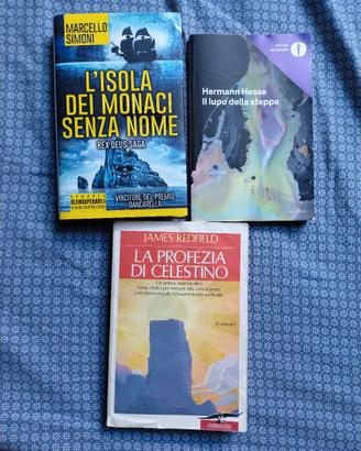 Libri - Set di 3 Romanzi