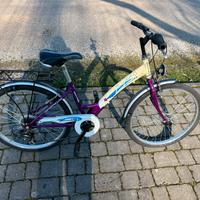 Bicicletta Ragio 24