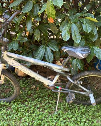 Bicicletta