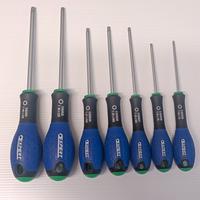 Giraviti torx Expert 