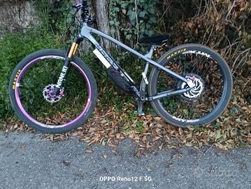 bicicletta elettrica 
