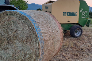 Rotopressa krone