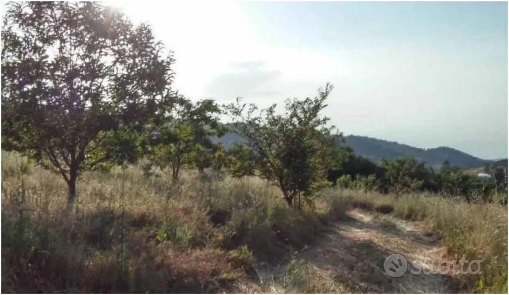 Immobile in asta di 5430 m² a Luzzi - Vista 3