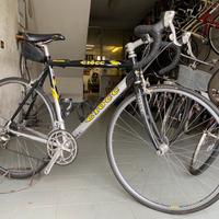 Bdc Ciocc Challenger